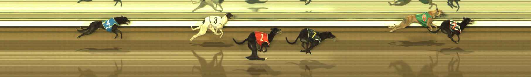 Race result finish photo